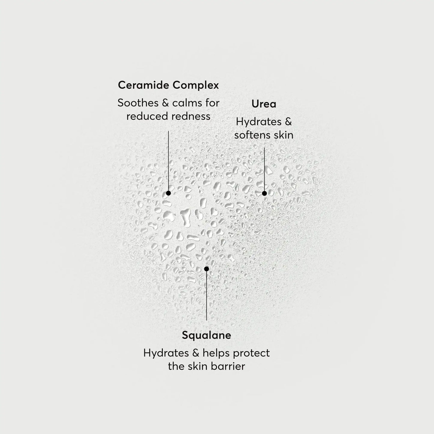 barrier-bounce-bi-phase-mist-b0 NATR-10167-Alt-Images-Barrier-Bounce-Bi-Phase-Toner-Mist_01.webp