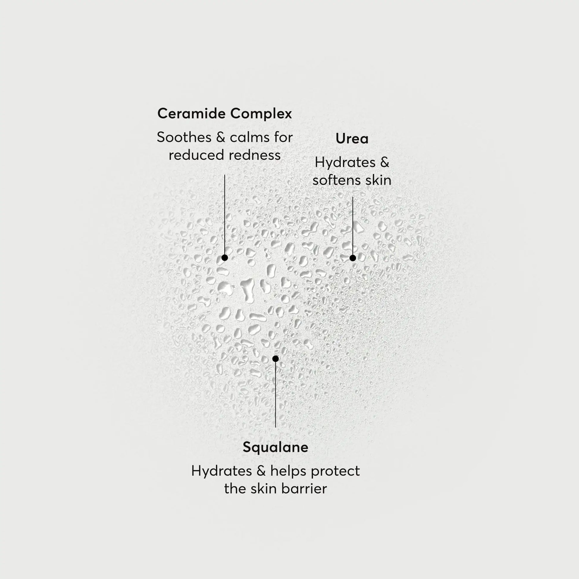 barrier-bounce-bi-phase-mist-b0 NATR-10167-Alt-Images-Barrier-Bounce-Bi-Phase-Toner-Mist_01.webp