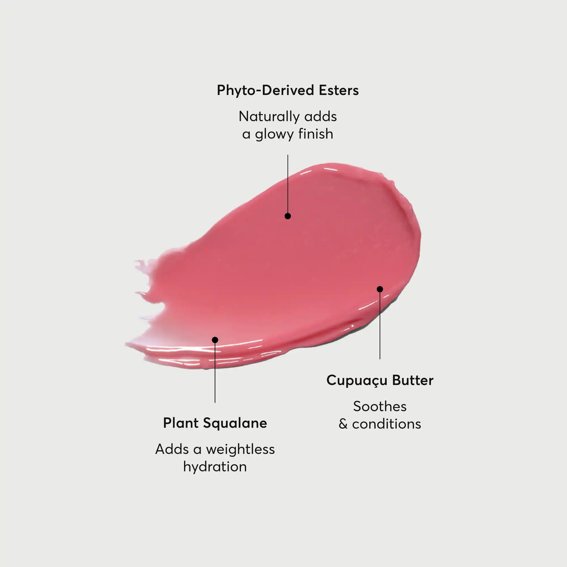 phyto-glow-lip-balm-petal-k5 NATR-60067-Alt-Images-Phyto-Glow-Lip-Balm-Petal-01.webp