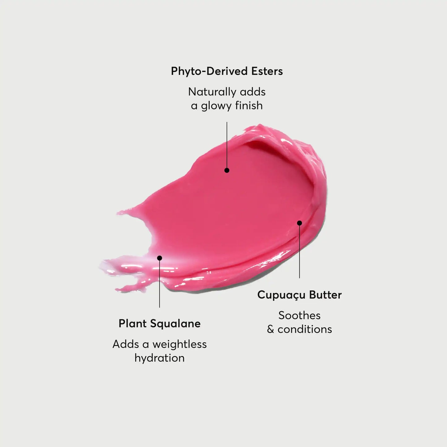 phyto-glow-lip-balm-camellia-b7 NATR-60075-Alt-Images-Phyto-Glow-Lip-Balm-Camellia-01.webp